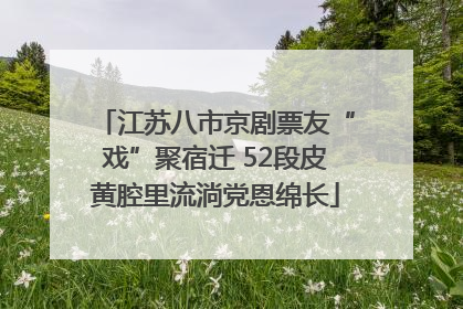 江苏八市京剧票友“戏”聚宿迁 52段皮黄腔里流淌党恩绵长