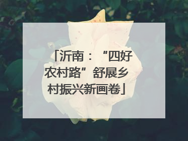 沂南：“四好农村路”舒展乡村振兴新画卷