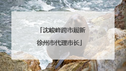 沈峻峰跨市履新徐州市代理市长