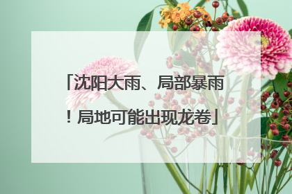 沈阳大雨、局部暴雨！局地可能出现龙卷