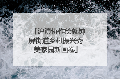 沪滇协作绘就钟屏街道乡村振兴秀美家园新画卷