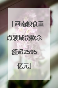 河南粮食重点领域贷款余额超2595亿元