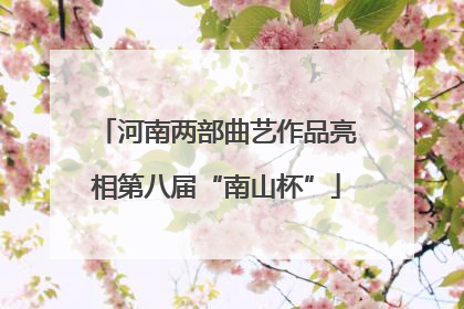 河南两部曲艺作品亮相第八届“南山杯”