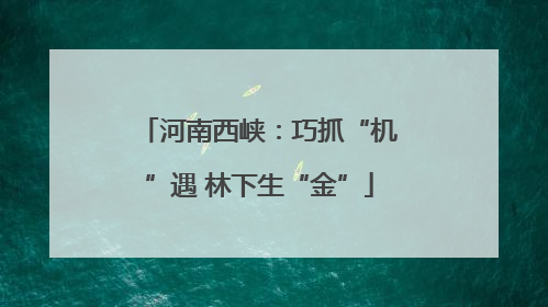 河南西峡：巧抓“机”遇 林下生“金”