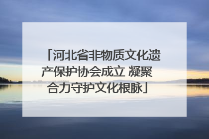 河北省非物质文化遗产保护协会成立 凝聚合力守护文化根脉
