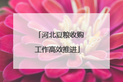河北夏粮收购工作高效推进