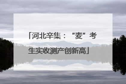河北辛集：“麦”考生实收测产创新高