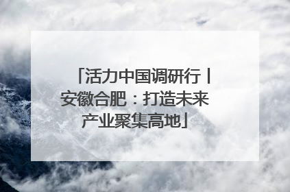活力中国调研行丨安徽合肥：打造未来产业聚集高地