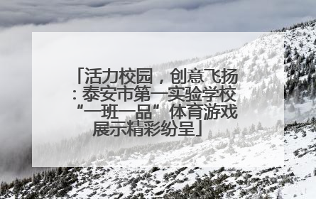 活力校园，创意飞扬：泰安市第一实验学校“一班一品”体育游戏展示精彩纷呈