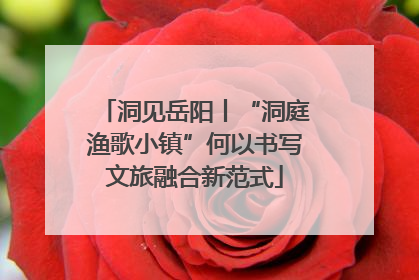 洞见岳阳丨“洞庭渔歌小镇”何以书写文旅融合新范式