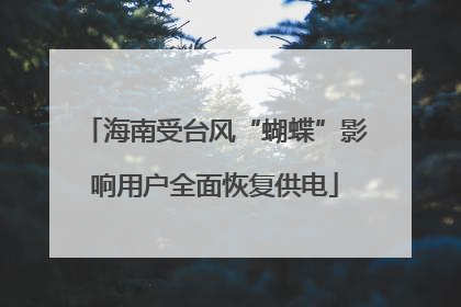 海南受台风“蝴蝶”影响用户全面恢复供电