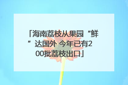 海南荔枝从果园“鲜”达国外 今年已有200批荔枝出口