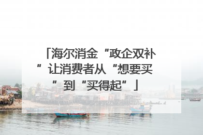 海尔消金“政企双补”让消费者从“想要买”到“买得起”