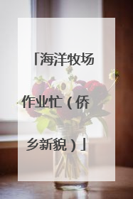 海洋牧场作业忙（侨乡新貌）