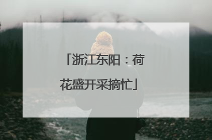 浙江东阳：荷花盛开采摘忙