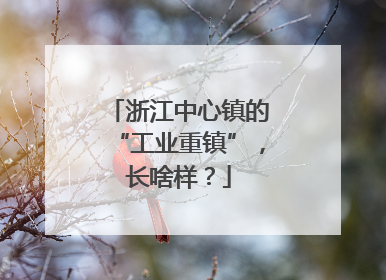 浙江中心镇的“工业重镇”，长啥样？