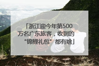 浙江迎今年第500万名广东旅客，收到的“锦鲤礼包”都有啥