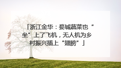 浙江金华：婺城蔬菜也“坐”上了飞机，无人机为乡村振兴插上“翅膀”