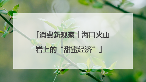 消费新观察丨海口火山岩上的“甜蜜经济”