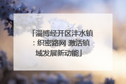 淄博经开区沣水镇：织密路网 激活镇域发展新动能