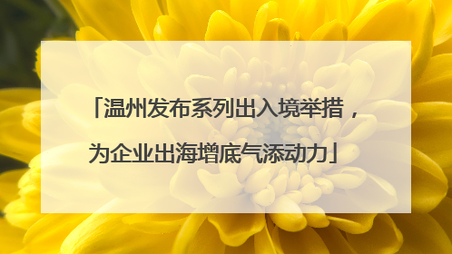 温州发布系列出入境举措，为企业出海增底气添动力