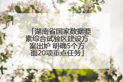 湖南省国家数据要素综合试验区建设方案出炉 明确5个方面20项重点任务