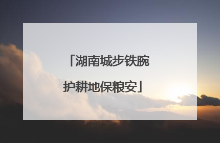 湖南城步铁腕护耕地保粮安