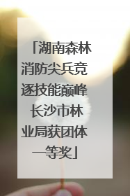 湖南森林消防尖兵竞逐技能巅峰 长沙市林业局获团体一等奖