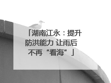 湖南江永：提升防洪能力 让雨后不再“看海”