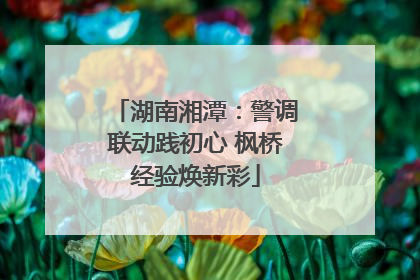 湖南湘潭：警调联动践初心 枫桥经验焕新彩