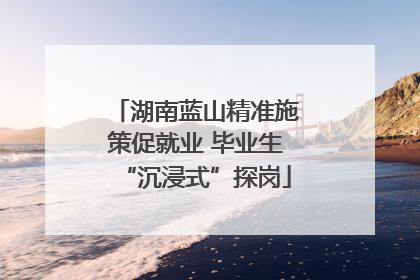 湖南蓝山精准施策促就业 毕业生“沉浸式”探岗