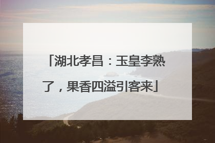 湖北孝昌：玉皇李熟了，果香四溢引客来