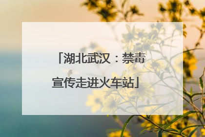 湖北武汉：禁毒宣传走进火车站