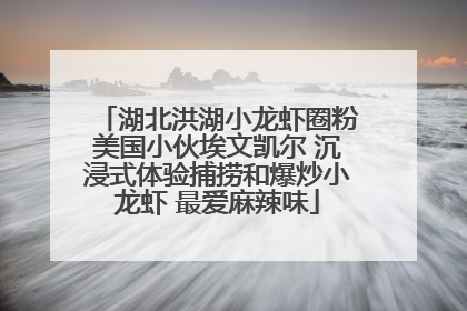 湖北洪湖小龙虾圈粉美国小伙埃文凯尔 沉浸式体验捕捞和爆炒小龙虾 最爱麻辣味