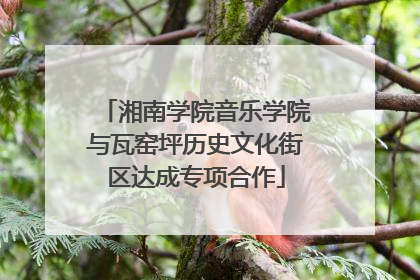 湘南学院音乐学院与瓦窑坪历史文化街区达成专项合作