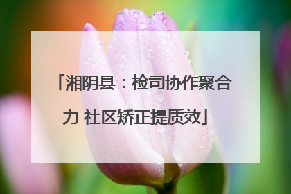 湘阴县：检司协作聚合力 社区矫正提质效