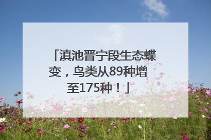 滇池晋宁段生态蝶变，鸟类从89种增至175种！