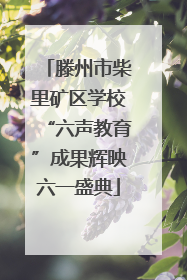 滕州市柴里矿区学校“六声教育”成果辉映六一盛典