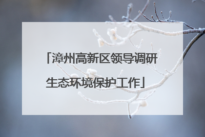 漳州高新区领导调研生态环境保护工作