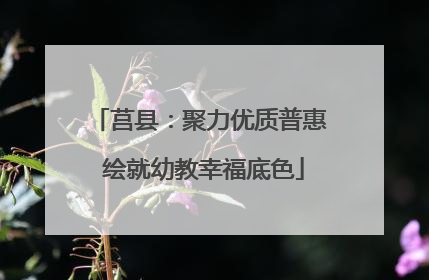 莒县：聚力优质普惠 绘就幼教幸福底色