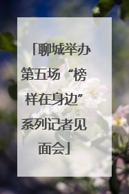 聊城举办第五场“榜样在身边”系列记者见面会