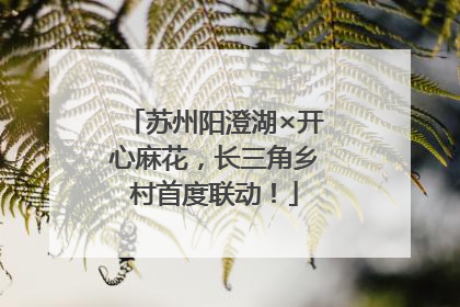 苏州阳澄湖×开心麻花，长三角乡村首度联动！