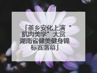 茶乡安化上演“肌肉美学”大赏 湖南省健美健身锦标赛落幕
