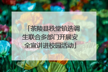 茶陵县秩堂镇选调生联合多部门开展安全宣讲进校园活动