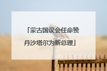 蒙古国议会任命赞丹沙塔尔为新总理