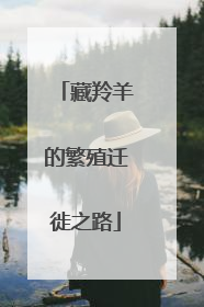 藏羚羊的繁殖迁徙之路