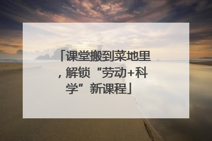 课堂搬到菜地里，解锁“劳动+科学”新课程