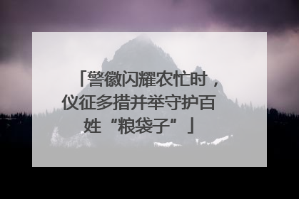 警徽闪耀农忙时，仪征多措并举守护百姓“粮袋子”