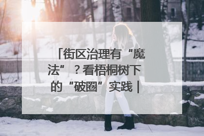 街区治理有“魔法”？看梧桐树下的“破圈”实践｜我在街区当书记