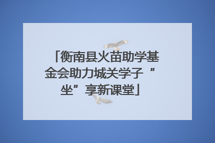 衡南县火苗助学基金会助力城关学子“坐”享新课堂